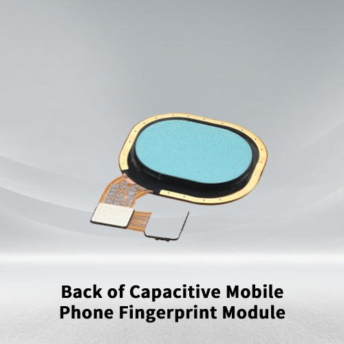  Back Of Capacitive Mobile Phone Fingerprint Module